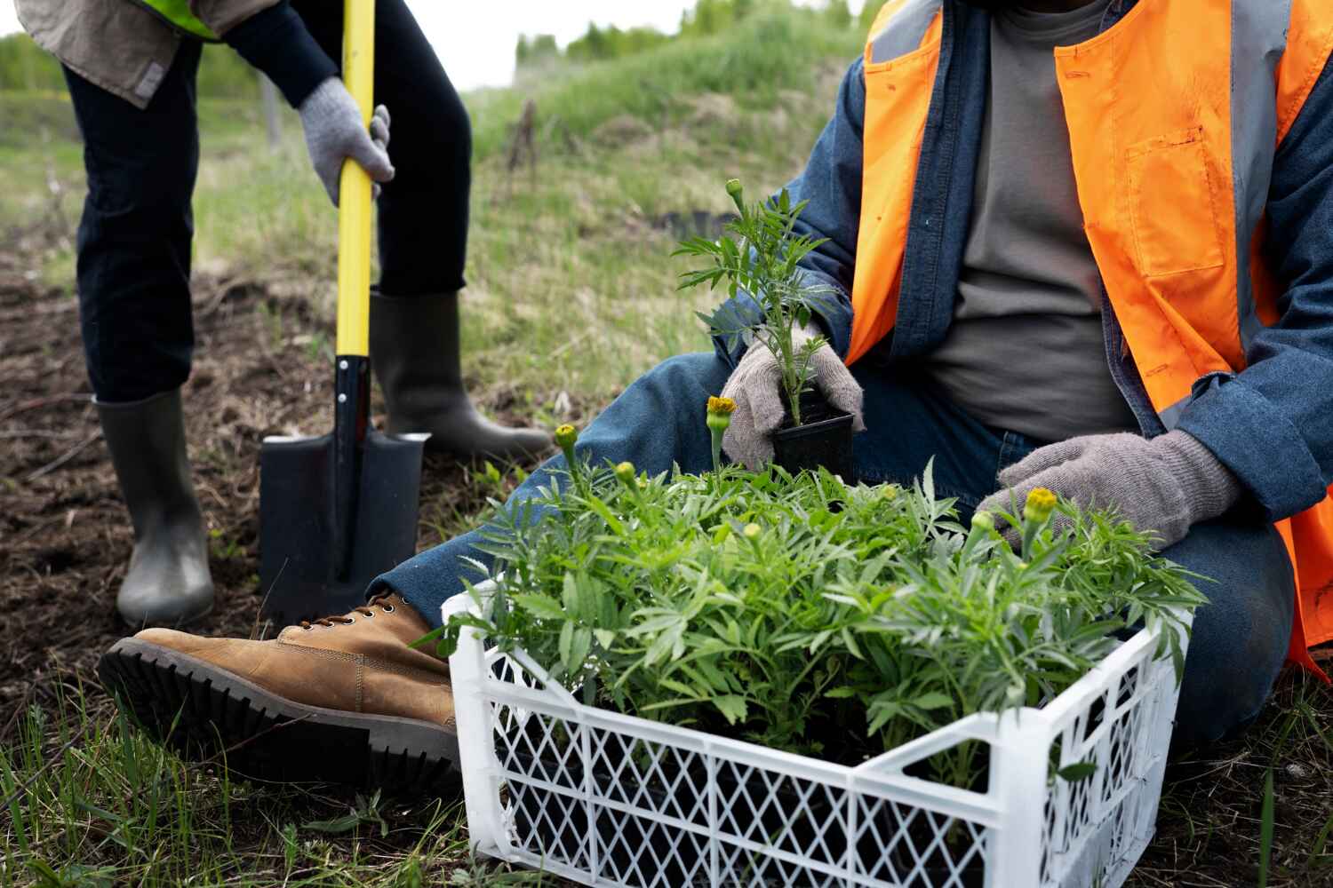 Professional Tree Service in Huron, SD